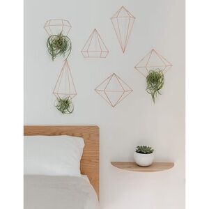 Umbra Geometric Hanging Wall Decor/Planter Set - Copper